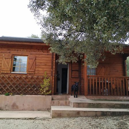 Villa La Casa Del Estanque à Olocau del Rey Extérieur photo